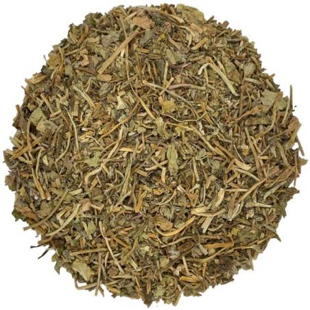 Centella Asiática TEAinFUSION | Bienestar circulatorio y piel