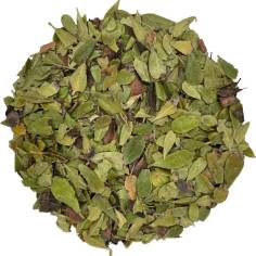 Gayuba BIO TEAinFUSION | Bienestar urinario natural