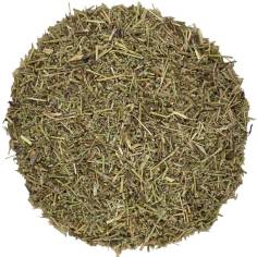 Herniaria - Rompepiedras TEAinFUSION | Infusión depurativa y urinaria