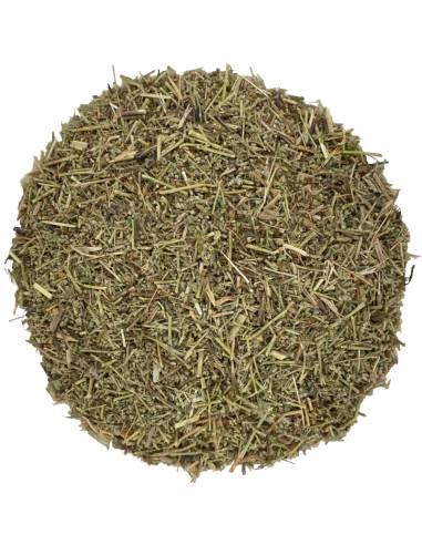 Herniaria - Rompepiedras TEAinFUSION | Infusión depurativa y urinaria