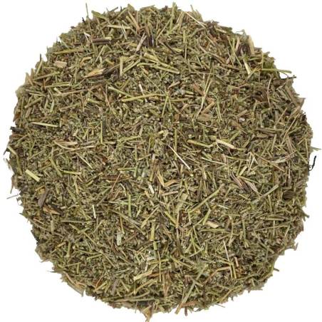 Herniaria - Rompepiedras TEAinFUSION | Infusión depurativa y urinaria