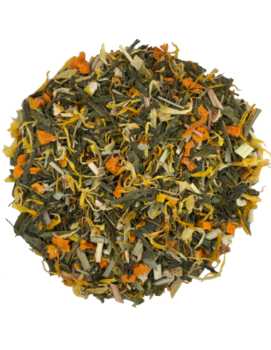 Té Verde Calabaza Mentolada TEAinFUSION | Refrescante y digestivo