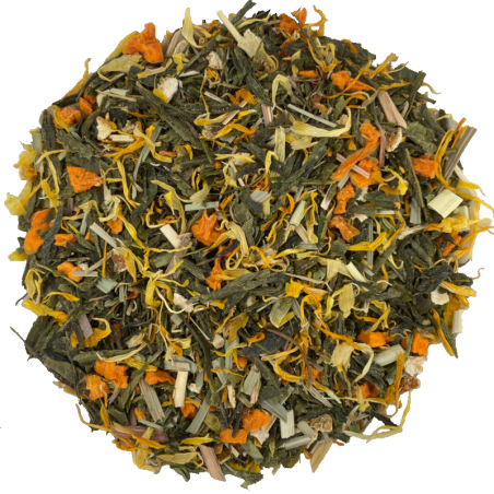 Té Verde Calabaza Mentolada TEAinFUSION | Refrescante y digestivo