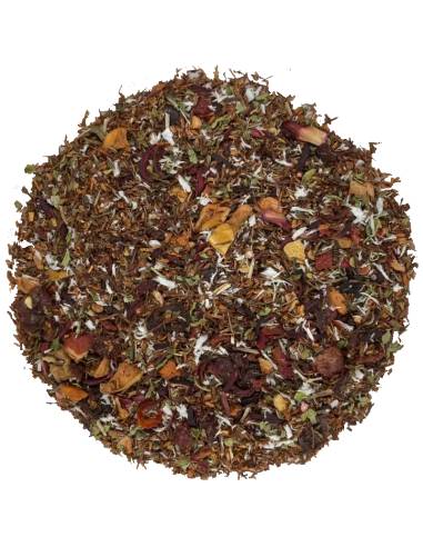 Rooibos Fresas Kiwi TEAinFUSION | Infusión afrutada sin teína