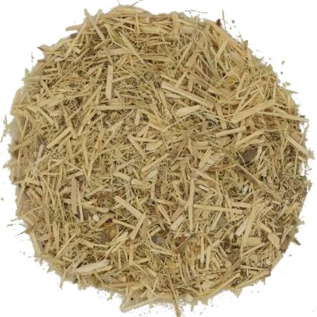 Eleuterococo TEAinFUSION | Energía natural y vitalidad