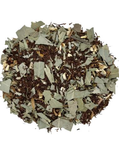 Rooibos Naranja Eucalipto TEAinFUSION | Infusión fresca sin teína