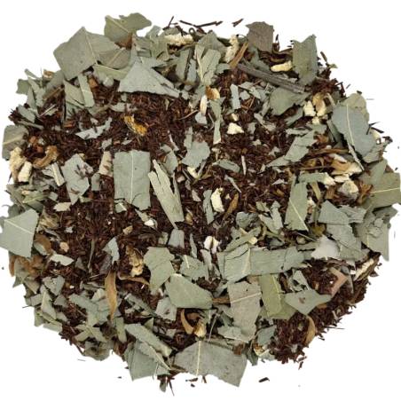 Rooibos Naranja Eucalipto TEAinFUSION | Infusión fresca sin teína