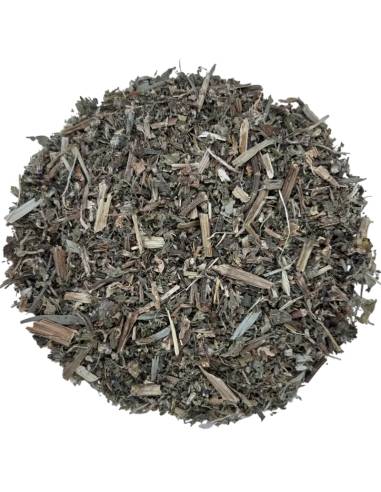 Ortiga Blanca Lamium TEAinFUSION | Hoja natural para infusión
