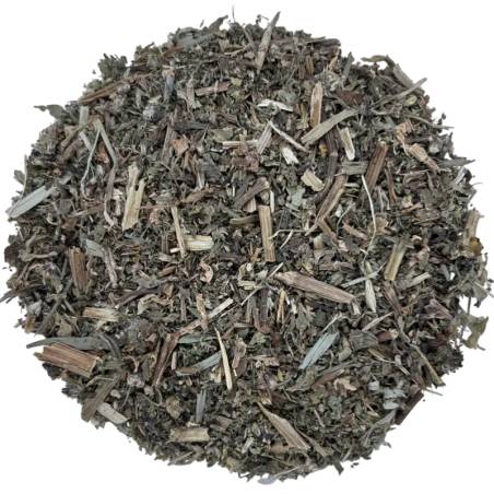 Ortiga Blanca Lamium TEAinFUSION | Hoja natural para infusión