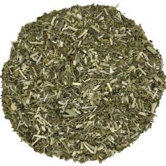 Ruda planta cortada TEAinFUSION | Infusión aromática