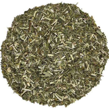 Ruda planta cortada TEAinFUSION | Infusión aromática