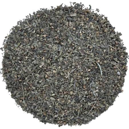 Tulsi TEAinFUSION | Hoja aromática para infusión