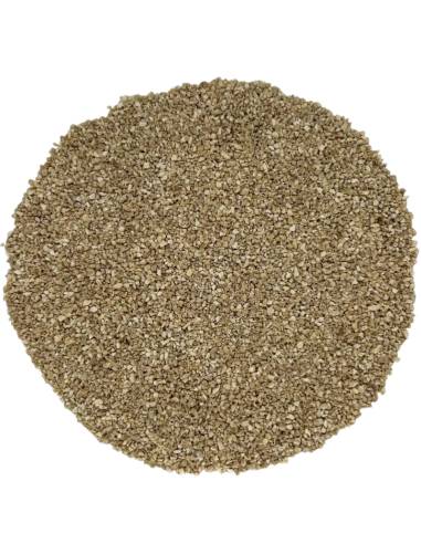 Ginseng Blanco triturado TEAinFUSION | Infusión energizante