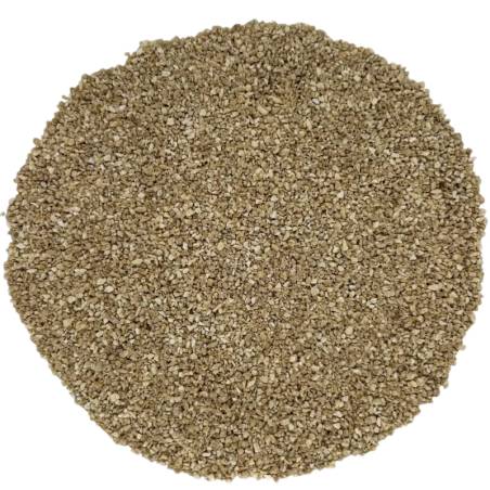 Ginseng Blanco triturado TEAinFUSION | Infusión energizante