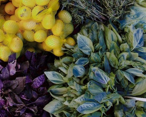Comprar infusiones online | Tisanas naturales | TEAinFUSION
