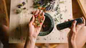 Plantas Medicinales