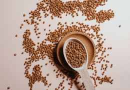 Alholva Fenogreco: propiedades digestivas, beneficios y usos culinarios tradicionales