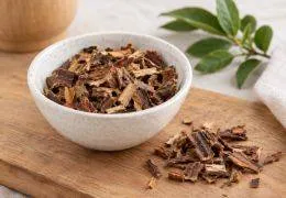 Cáscara Sagrada: beneficios y usos en la fitoterapia tradicional.