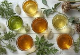Infusiones depurativas: cómo ayudan a limpiar el organismo de forma natural