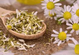 Las mejores infusiones digestivas: guía completa de plantas y beneficios